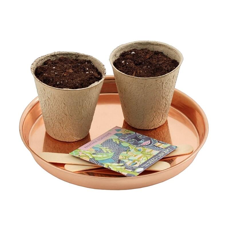 Achla Designs Set of 2 Decorative Round Stainless Steel Trays, 8.5 Inch Diameter, Copper Plated Finish