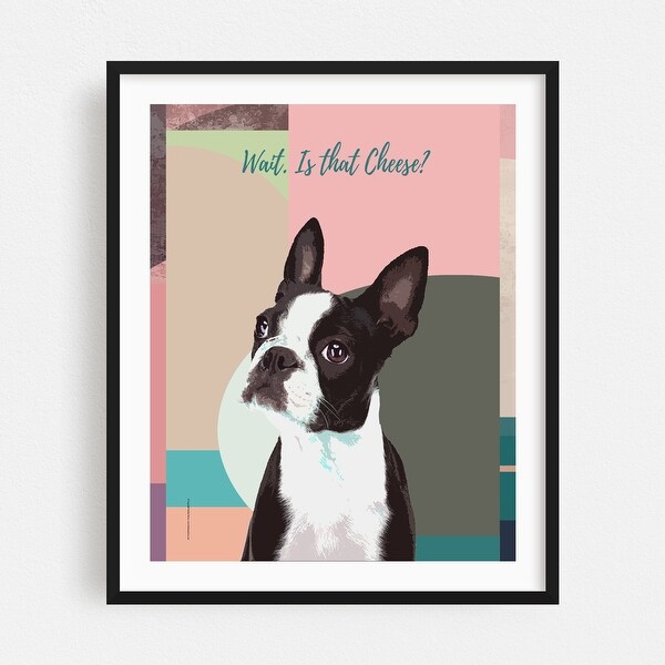 Talking shop boston terrier
