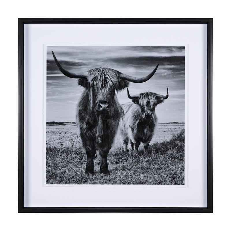 Highlands Framed Art Print