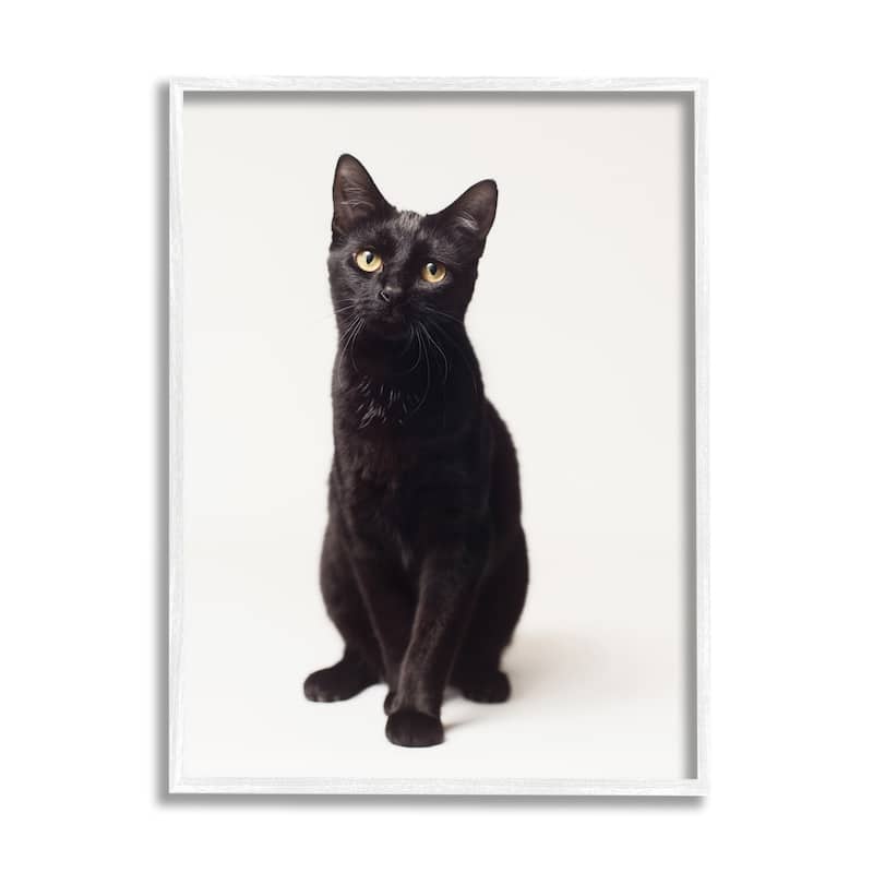Stupell Cute Black Cat Expressive Eyes Pet Portrait Framed Giclee Texturized Art by Marika Moffit - 16 x 20 - White