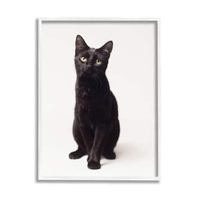 Stupell Cute Black Cat Expressive Eyes Pet Portrait Framed Giclee Texturized Art by Marika Moffit