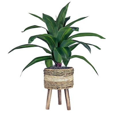 24-inch Artificial Dracaena Plant in Tri-Color Basket Stand