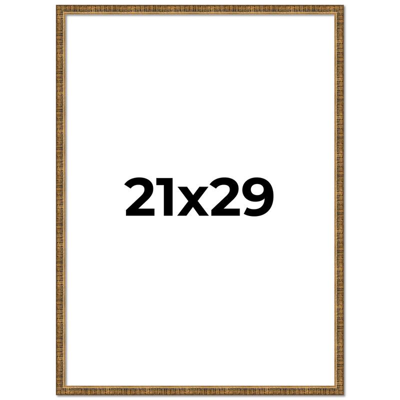 21x29 Frame Gold Picture Frame - Complete Modern Photo Frame Includes