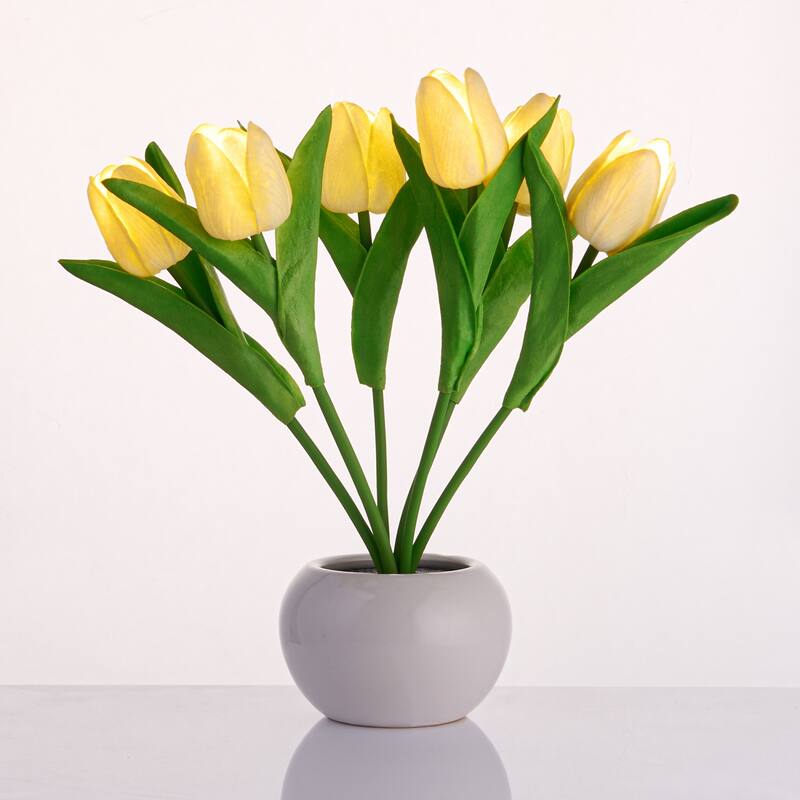 Tulip Flower LED Table Accent Lamp - White