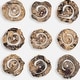 preview thumbnail 3 of 1, Uttermost 04381 Corkscrew 14" Tall Wood Abstract Sculpture - Set of 9