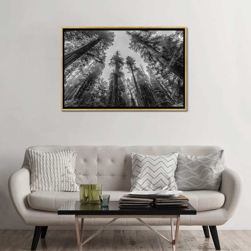 iCanvas "Sequoia Tree Forest Sky Black and White" by Nature Magick Framed Canvas Print