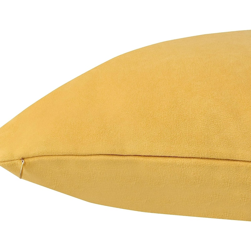 Delara Pack of 1 Velvet Decorative Throw Pillow Cover 20x20 Inches, Cushion Cover, Soft and Breathable Fabric, Hidden Zipper