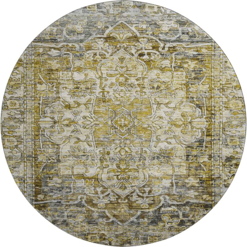 Premium Washable Super Soft Vintage Traditional Mayfield Rug