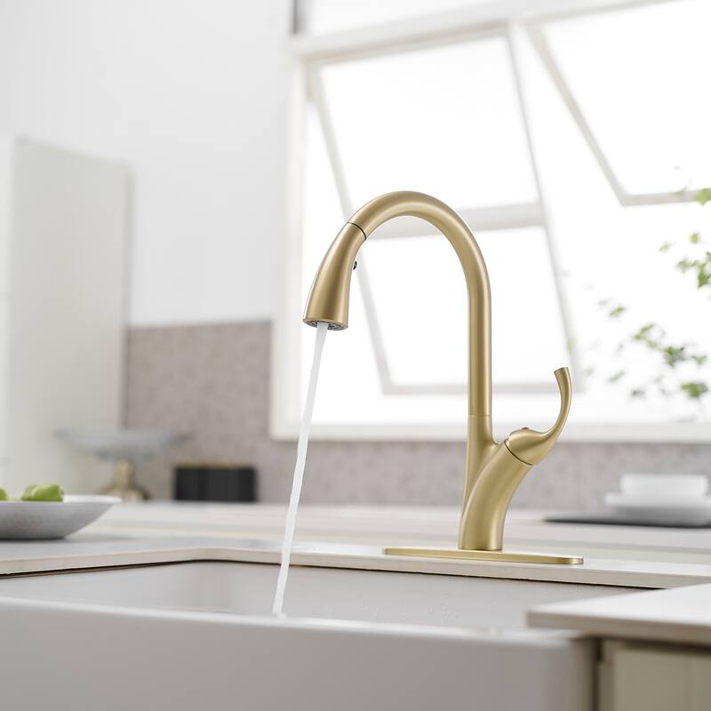 WIZ Single Handle Pull Down Sprayer Kitchen Faucet In Matte Black