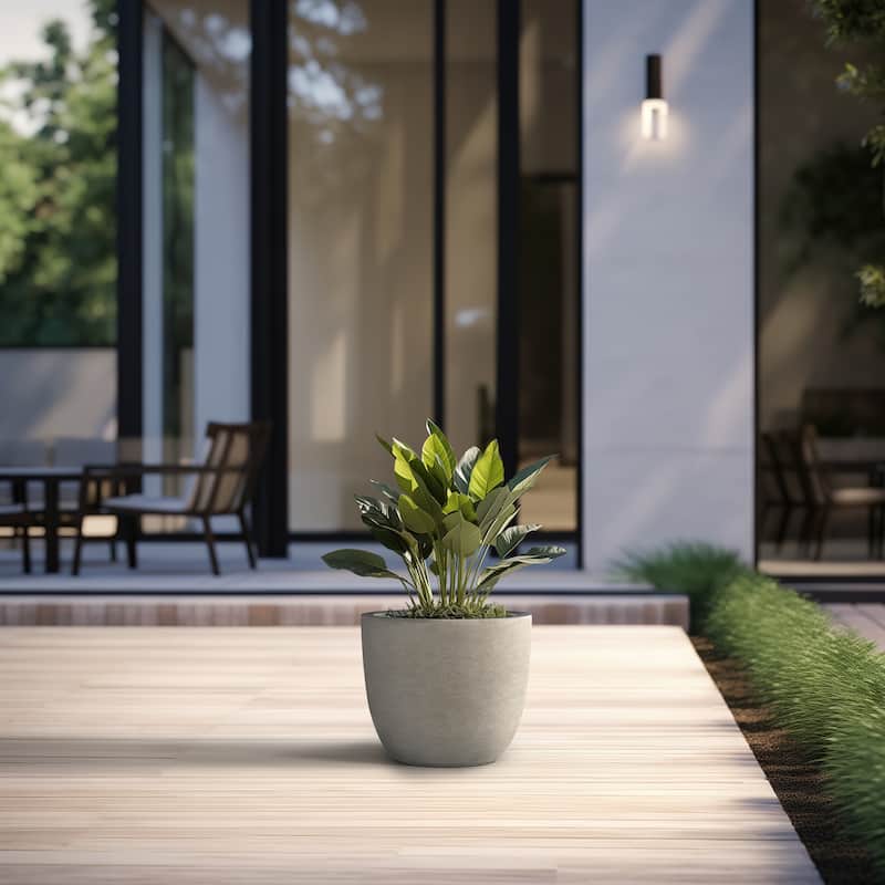 Tall Concrete Round Plant Pots / Large Indoor and Outdoor flower Planters