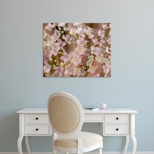 Easy Art Prints Danielle Harrington's 'Soft Floral II' Premium Canvas Art