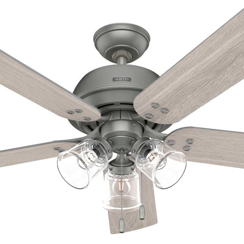 Hunter 52" Shady Grove Ceiling Fan with LED Light Kit/ Pull Chain, Standard or Flush Mount - Casual, Transitional