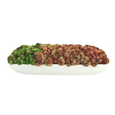 Sedum Arrangement in an Oblong Planter - Green