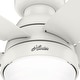 preview thumbnail 11 of 22, Hunter Lilliana Low Profile Ceiling Fan w/LED Light Kit, Pull Chain, Exclusive SureSpeed - Modern, Transitional