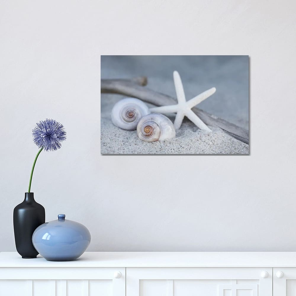 iCanvas "Starfish Beach Still" by Andrea Haase Canvas Print