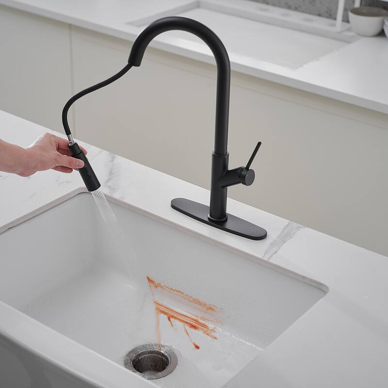 WIZ Single Handle Pull Down Sprayer Kitchen Faucet in Matte Black