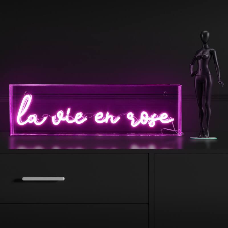 La Vie En Rose 20" X 6" Contemporary Glam Acrylic Box USB Operated LED Neon Light, Pink by JONATHAN Y - 20" X 6"