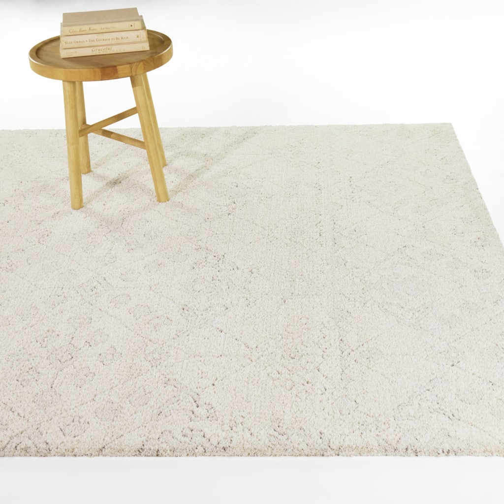 Pentheus Distressed Transitional Area Rug
