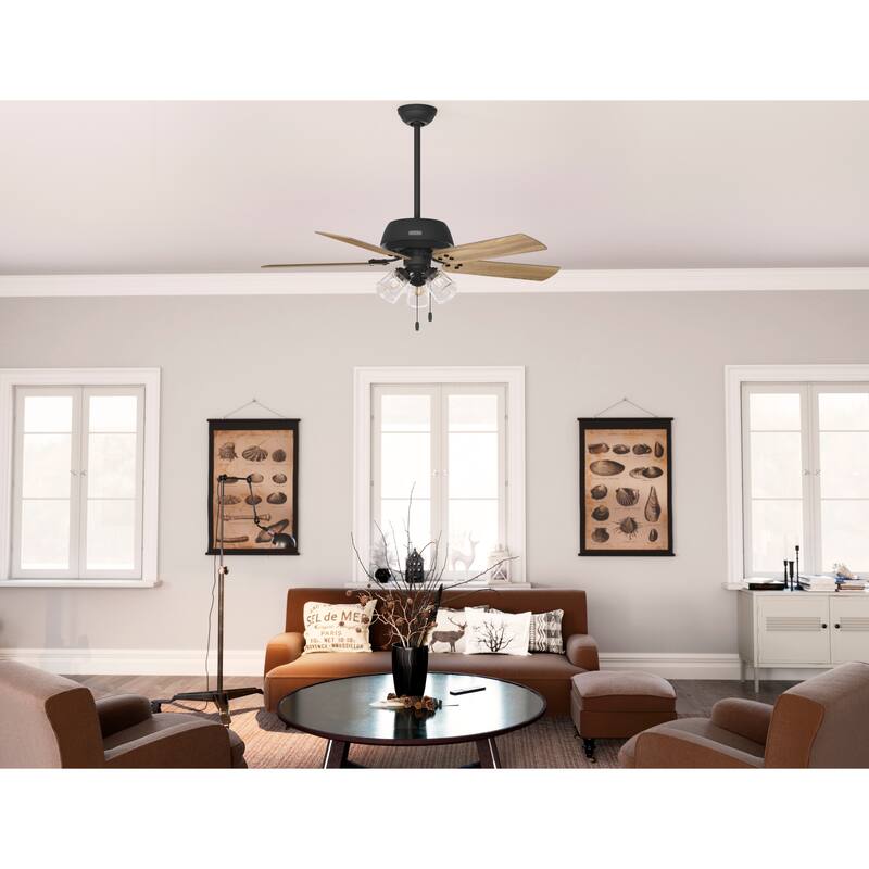 Hunter 52" Shady Grove Ceiling Fan with LED Light Kit/ Pull Chain, Standard or Flush Mount - Casual, Transitional