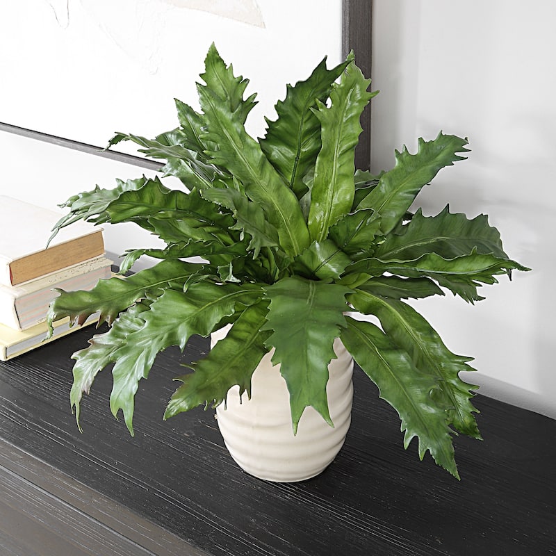 Glazed Pot Tabletop Artificial Fern Succulent - 18.75"