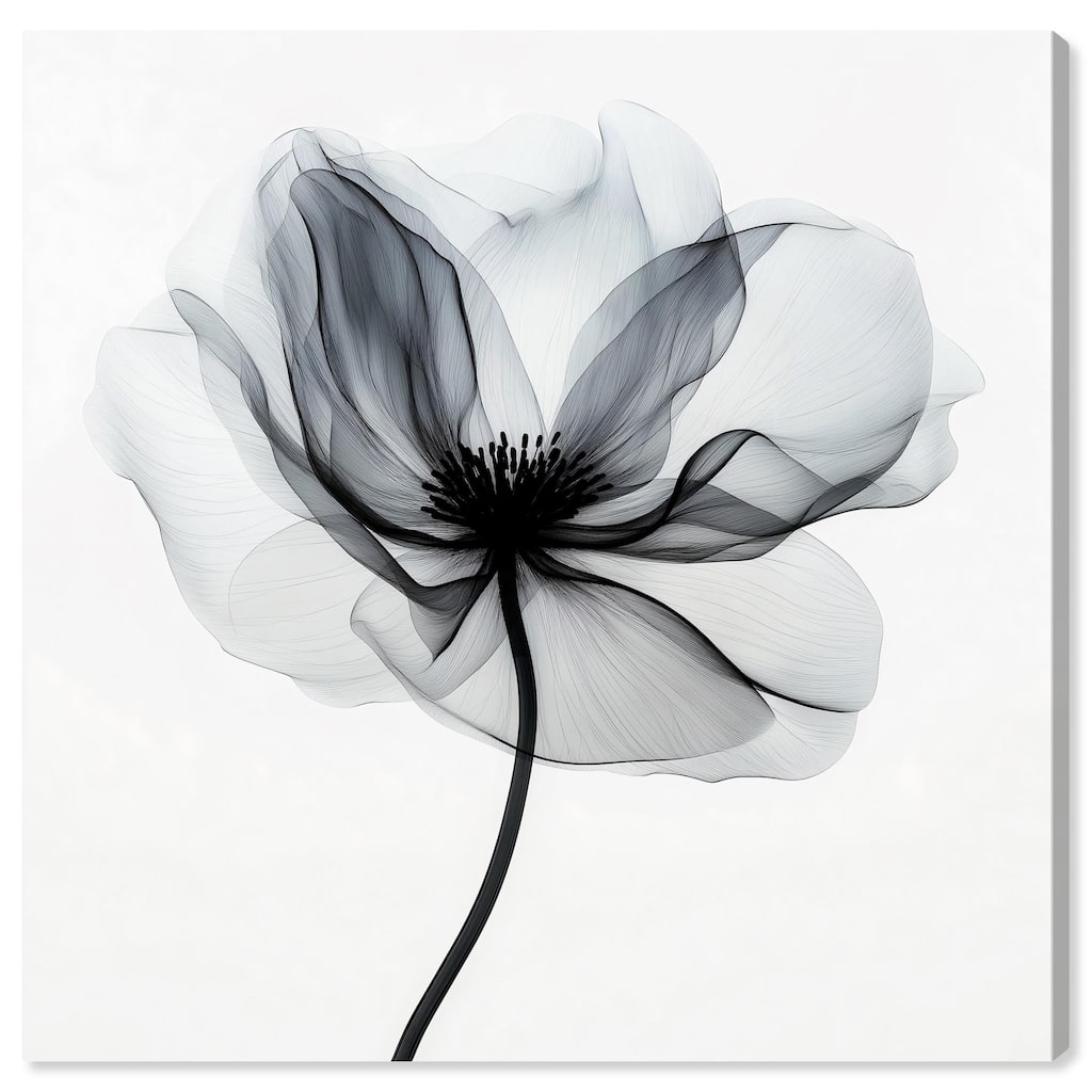 Midania I Canvas by Art Remedy, Gallery Wrapped