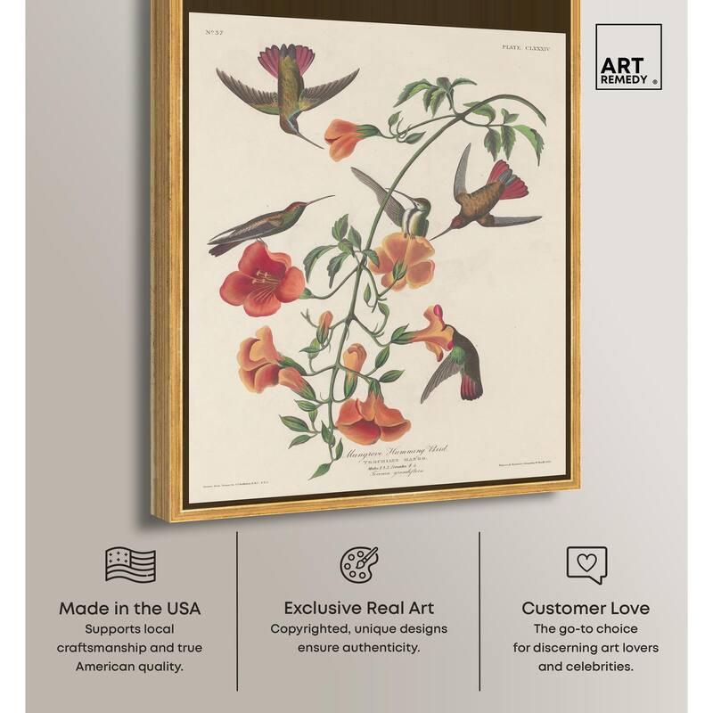 Humming Bird 1834 Canvas by Art Remedy