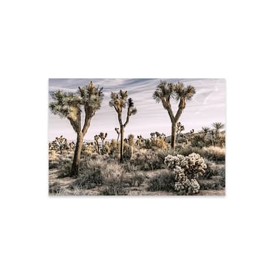 Joshua Tree Views IX Print On Acrylic Glass by Rachel Perry