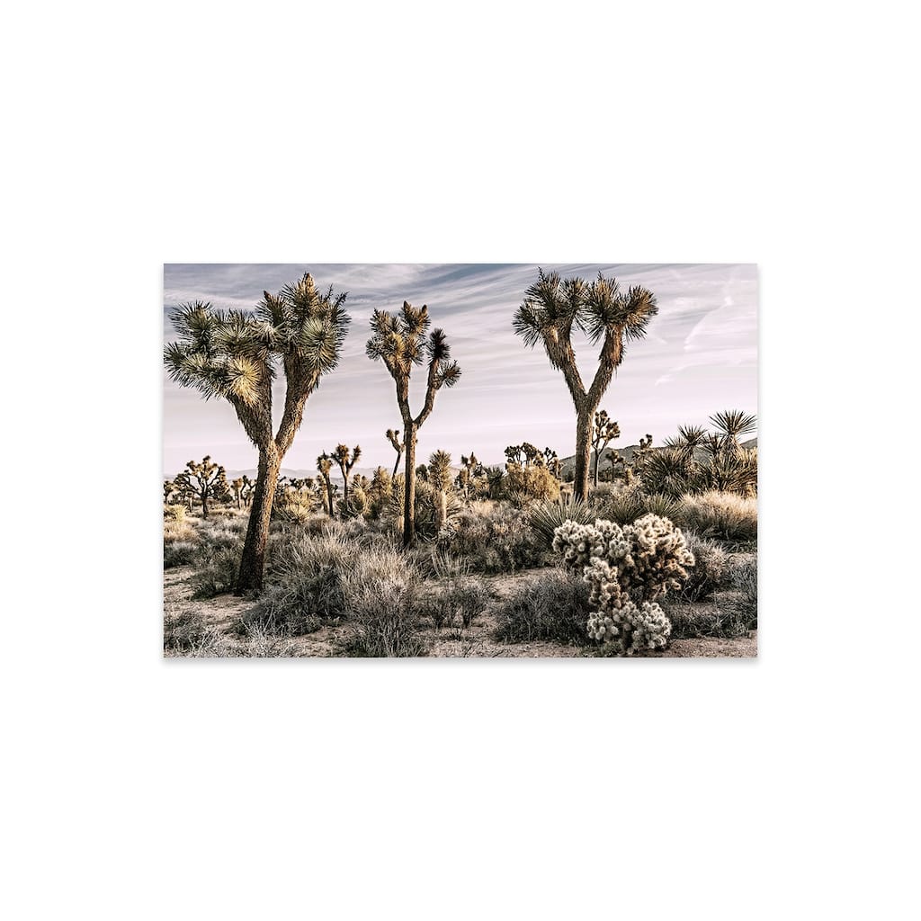 Joshua Tree Views IX Print On Acrylic Glass by Rachel Perry