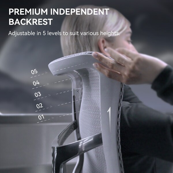 SIHOO Doro S300 Ergonomic Office Chair - Dual-layer Dynamic