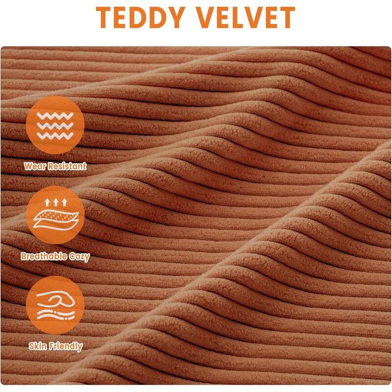 2 Seater Loveseat Sofa Couch for Living Room Small Spaces