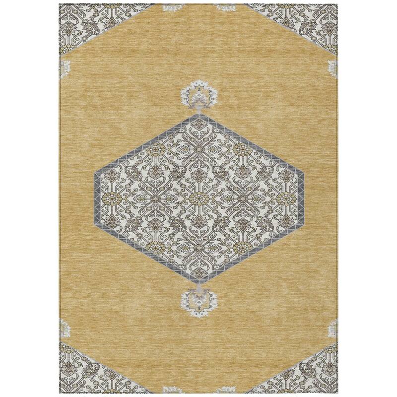 Machine Washable Indoor/ Outdoor Traditional Chantille Rug