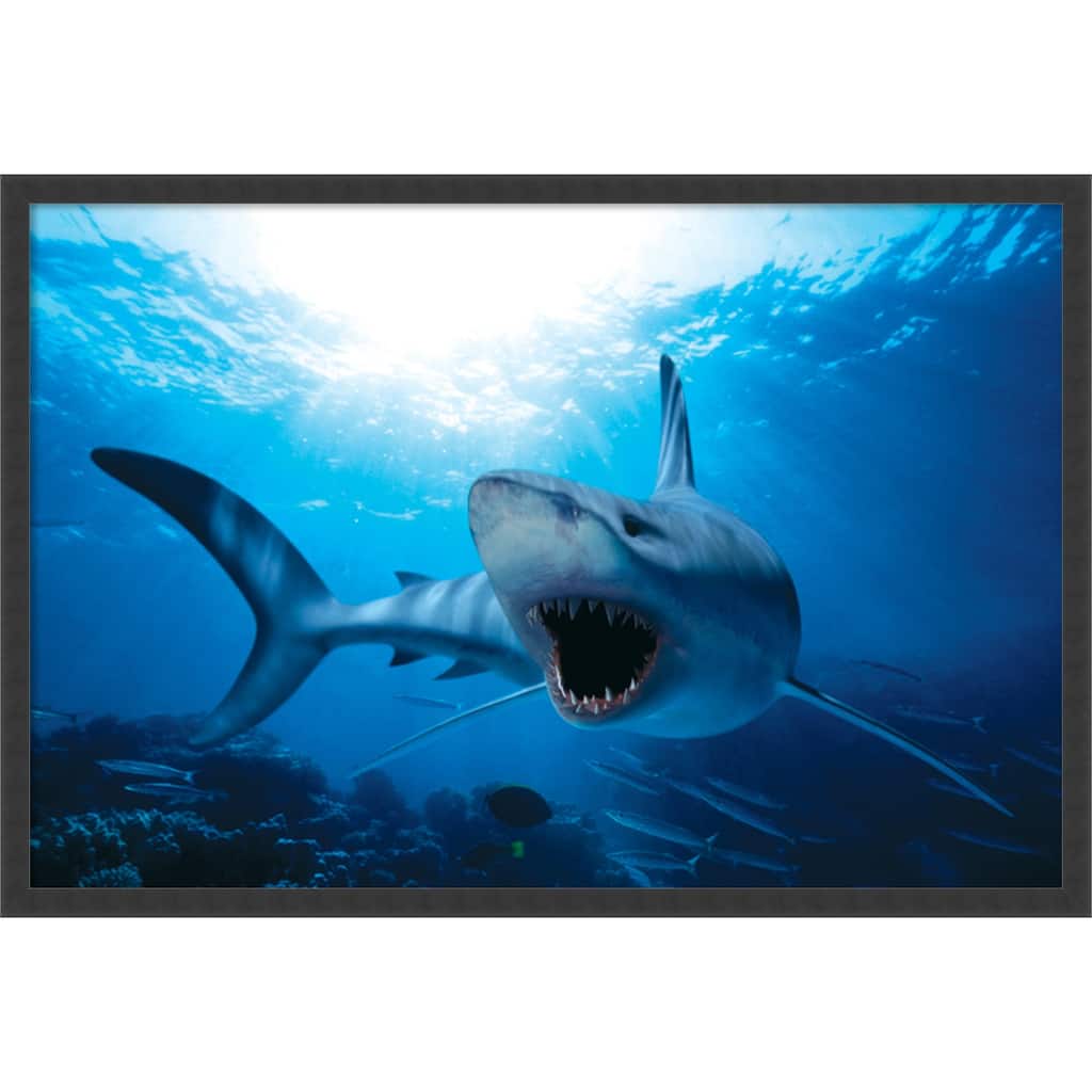 Framed Art Print Shark (Imitation) 38 x 26-inch