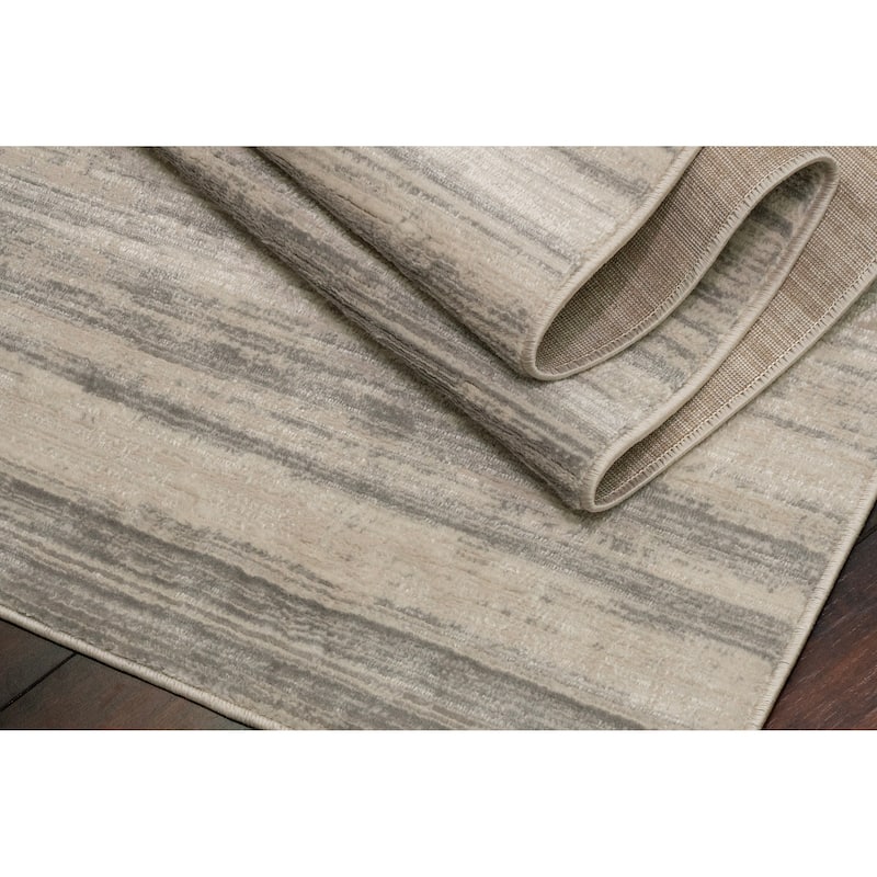 Dynamic Rugs Charlotte Traditional Area Rug