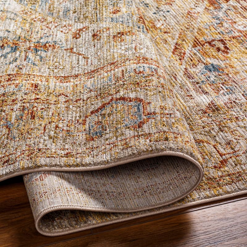 Livabliss Traditional Naila Medallion Area Rug