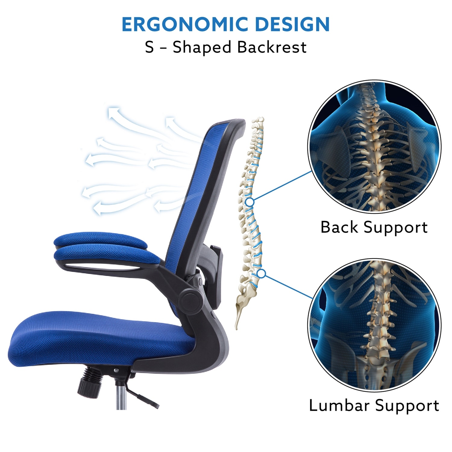 Lower lumbar sllight support office chair