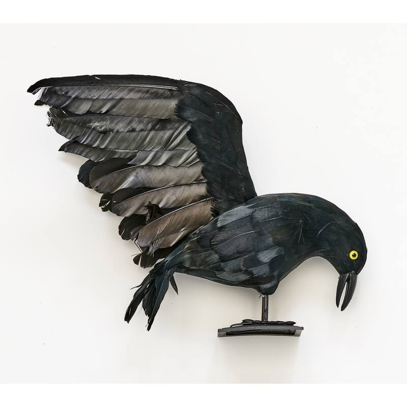14" Standing Halloween Tabletop Flyng Open Wing Feather Crow