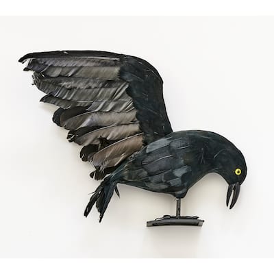 14" Standing Halloween Tabletop Flyng Open Wing Feather Crow