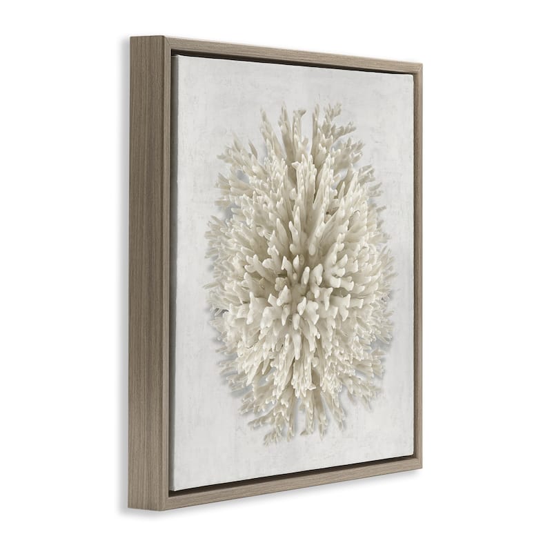 Stupell Natural Round Coral Framed Floater Canvas Wall Art Design By Caroline Kelly