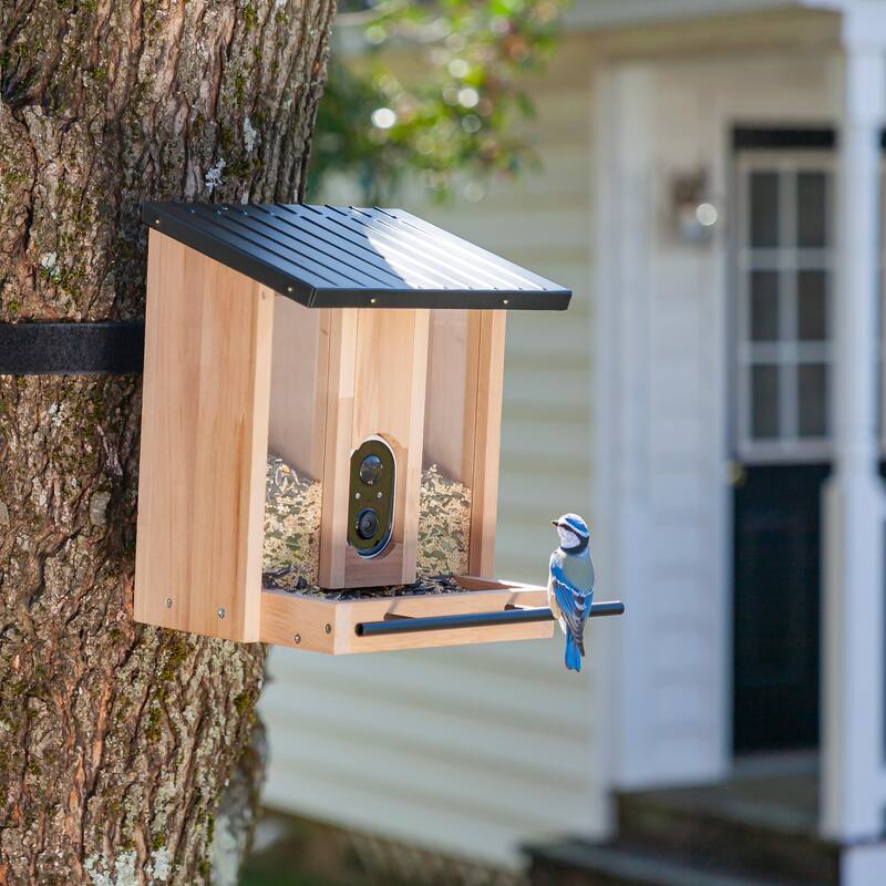 BirdsIVue Smart Feeder: Motion-Activated Video Solar Wooden Bird Feeder