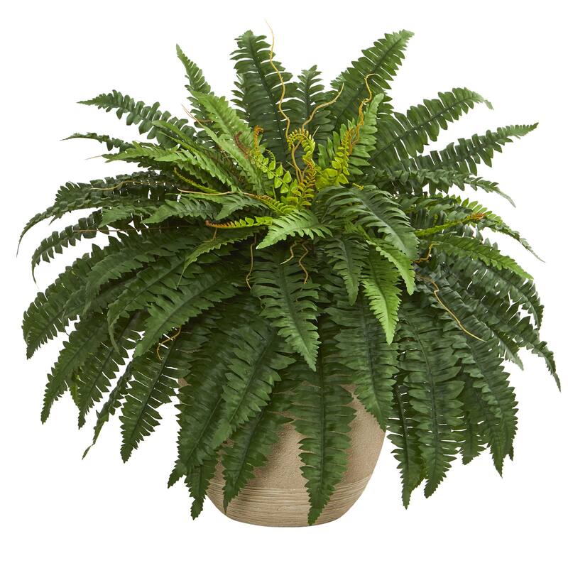 22" Boston Fern Artificial Plant in Sandstone Planter - h: 22 in. w: 30 in. d: 30 in