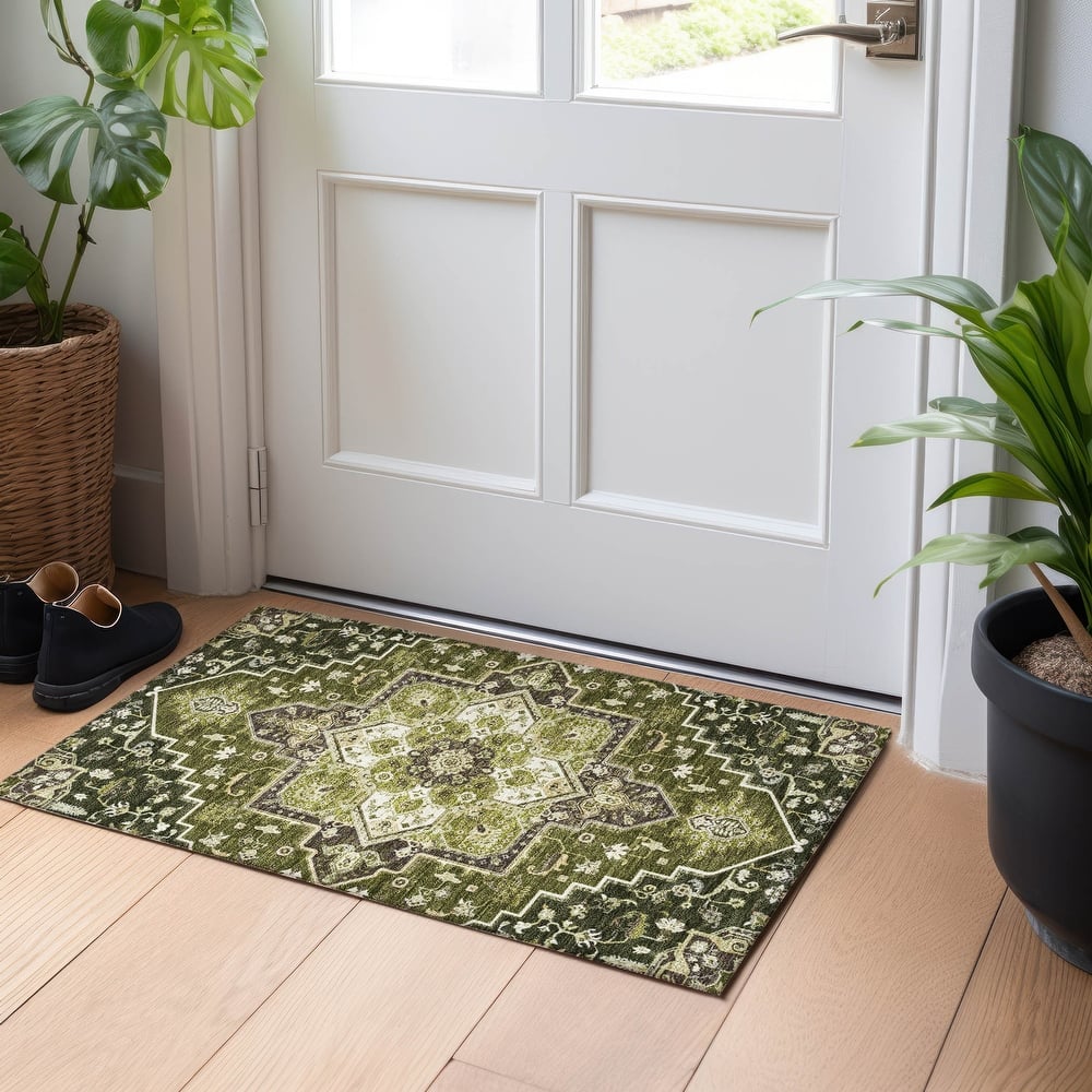 Machine Washable Indoor/ Outdoor Persian Traditional Chantille Rug