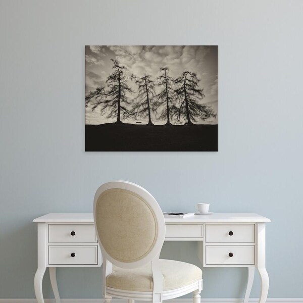 Easy Art Prints Keri Bevan's 'Park Trees' Premium Canvas Art
