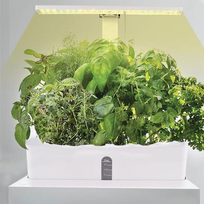 LED Height Adjustable Automatic 9-Pod Indoor Garden Germination Kit - White