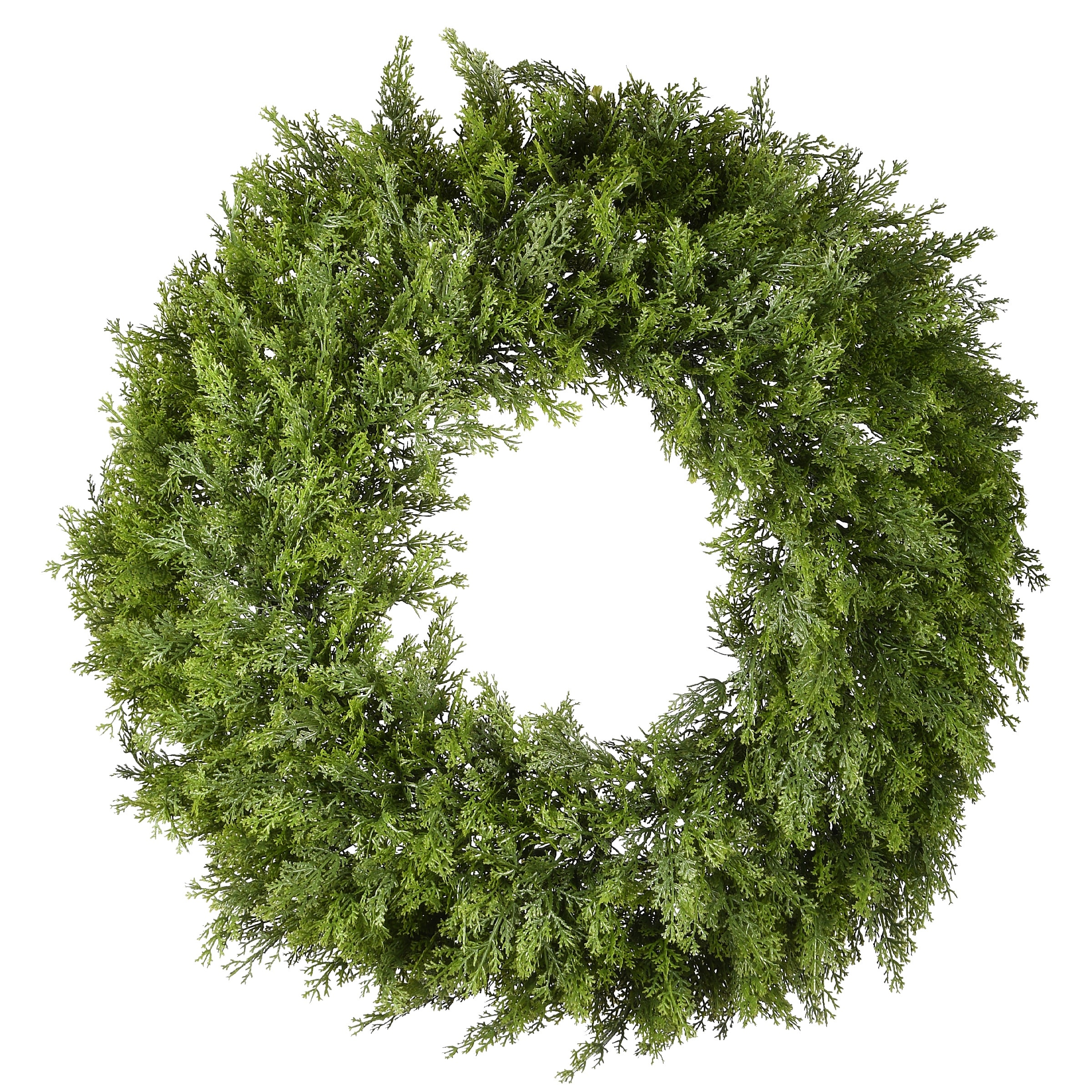 24" Arborvitae Wreath