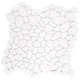 Option White