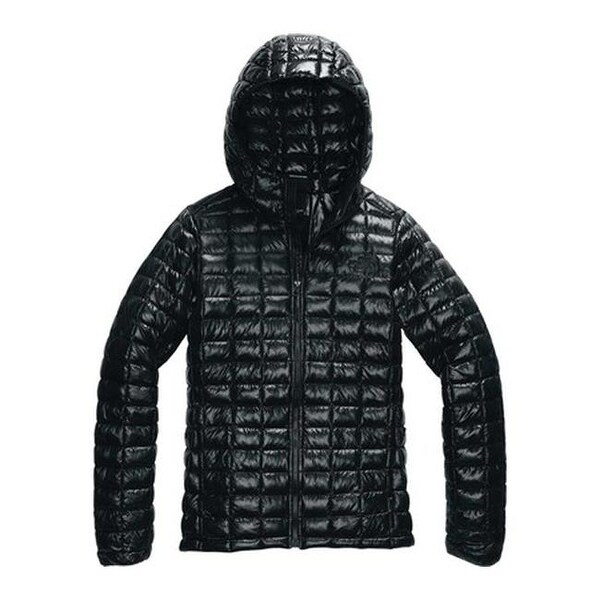the north face black hoodie