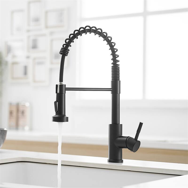 Stainless Steel Kitchen Faucet with Pull-Down Sprayer, Single Handle