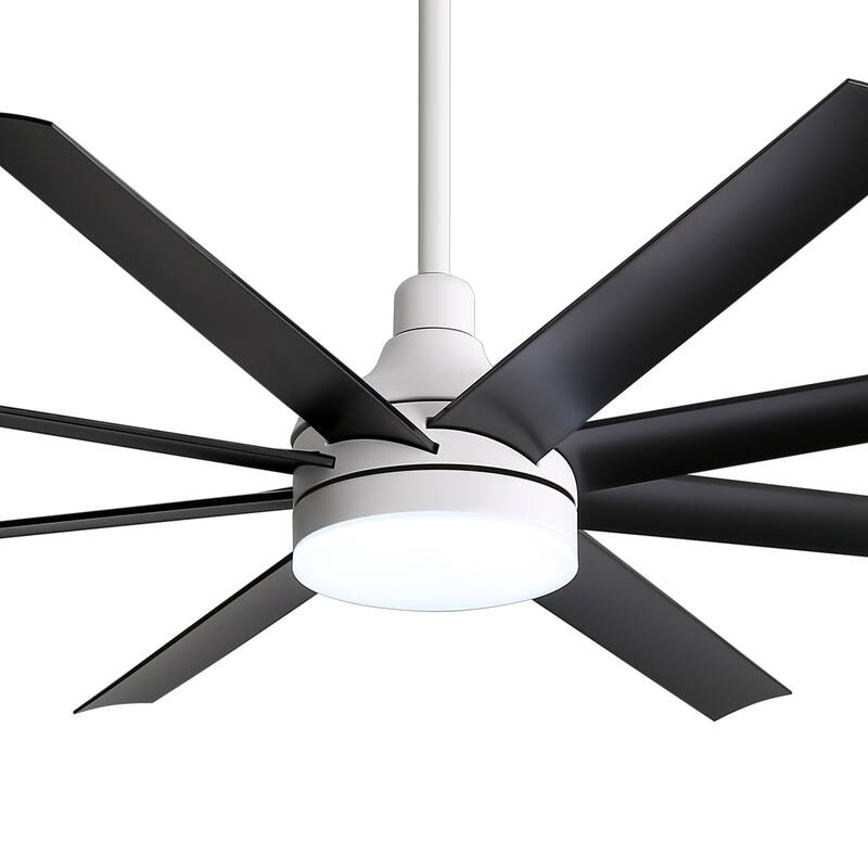 65 Inch LED Black and White Ceiling Fan with Light Remote- 8 Blade