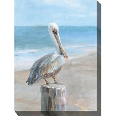 Pelican Portrait All Weather Outdoor Wall Décor