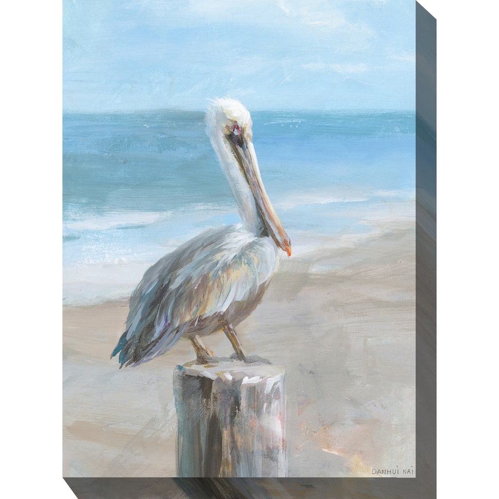 Pelican Portrait All Weather Outdoor Wall Décor